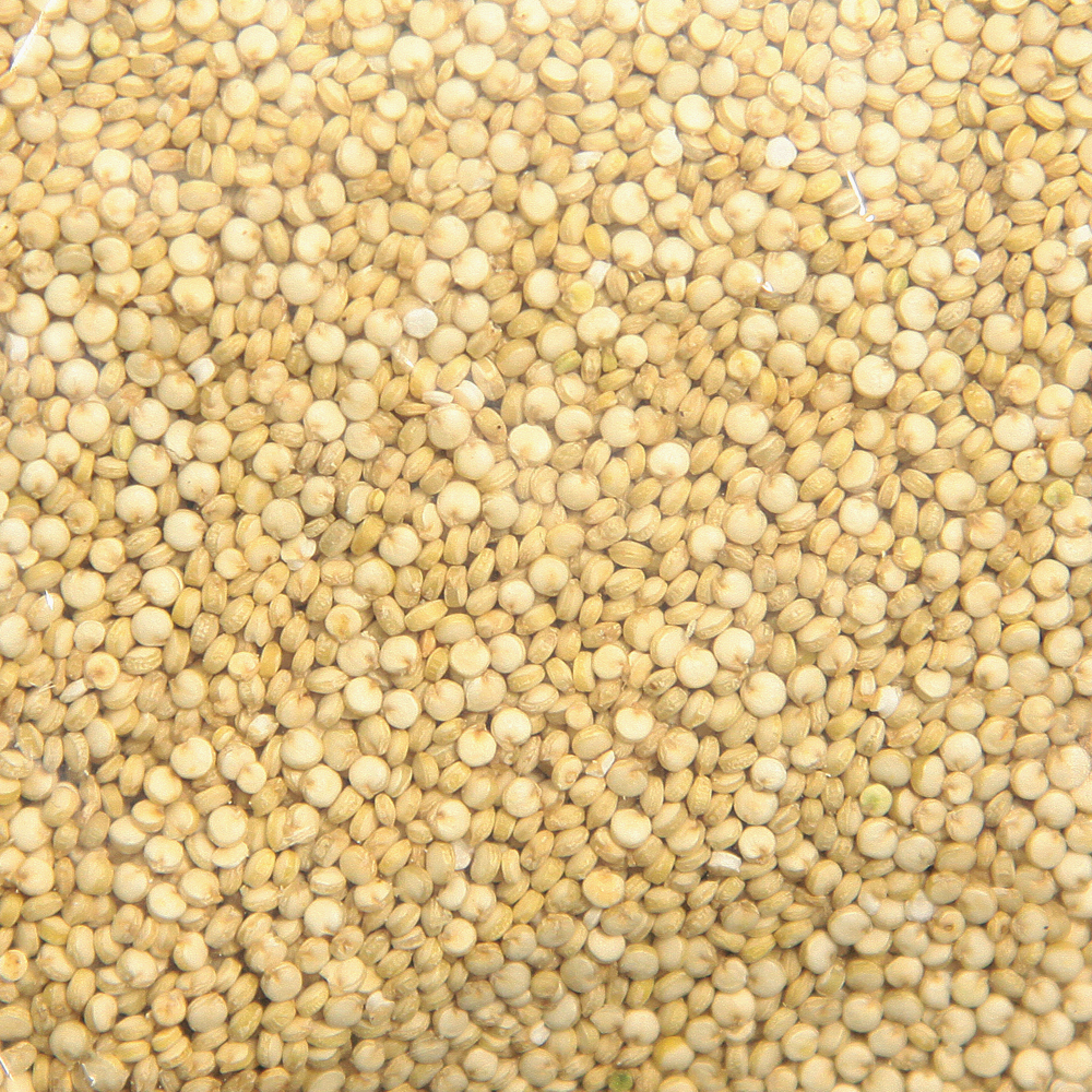Kvinoa - (1 x 25 kg) (luomu)